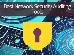 network access auditing