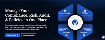 audit and risk management software