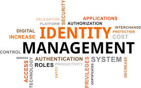 digital identity management solutions