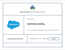 identity access management salesforce