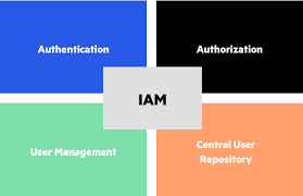 identity access management system iam