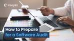 software audit