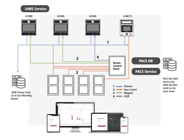i&a management system