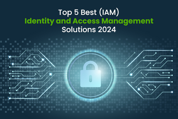 top iam solutions