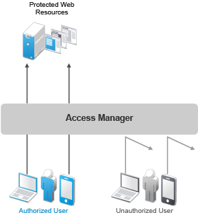 web access management