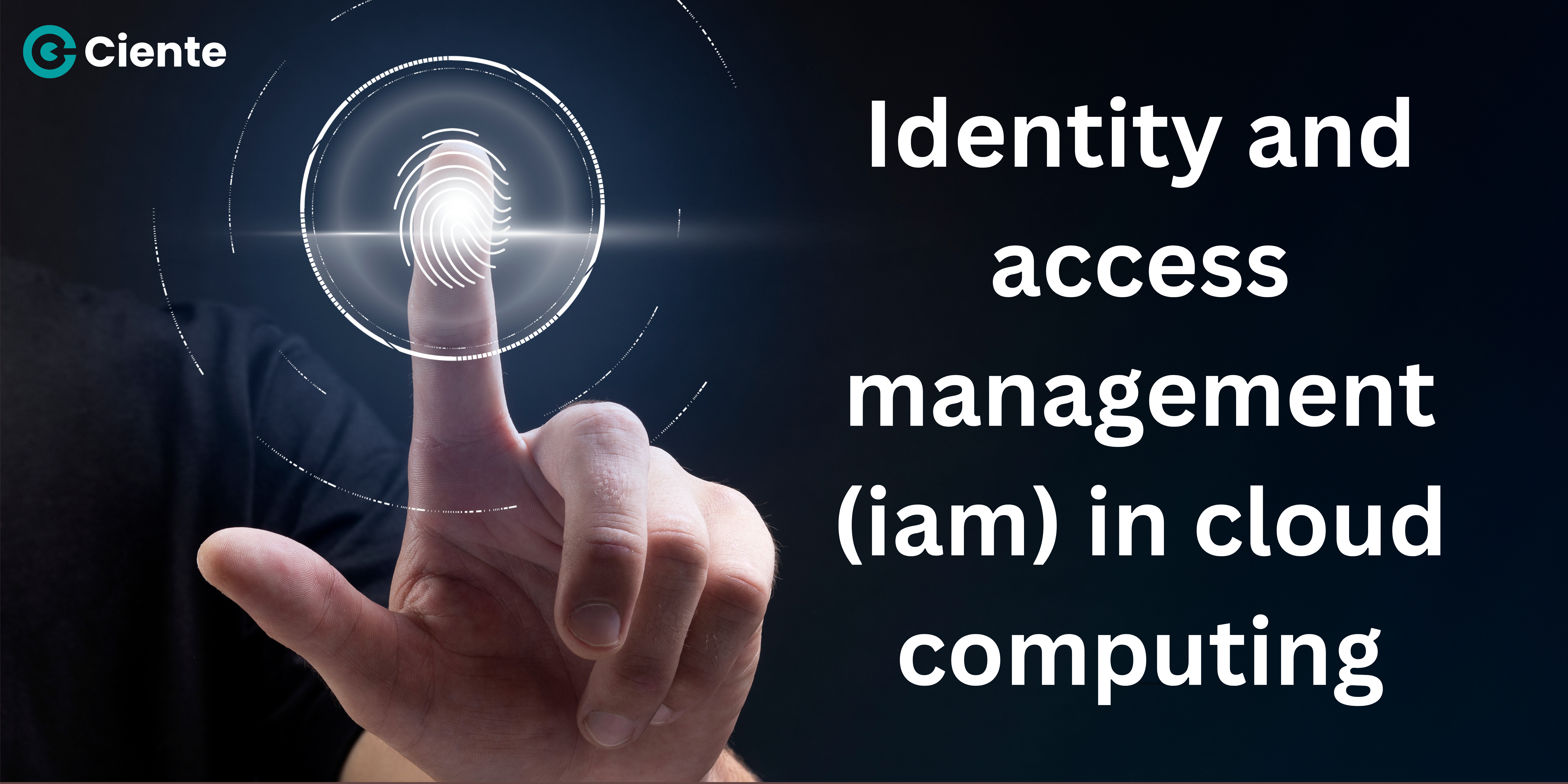 identity management in cloud computing